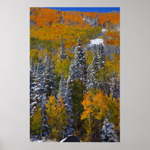 Poster Colorado