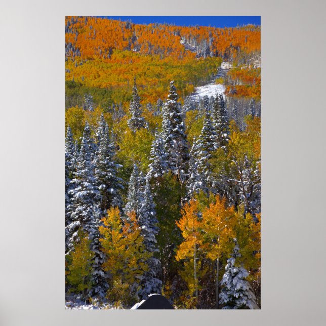 Poster Colorado (Devant)