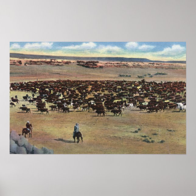 Poster Colorado - Arrondissement de Cowboys (Devant)