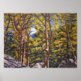 Poster Colorado Aspens in Beautiful Autumn Splendor