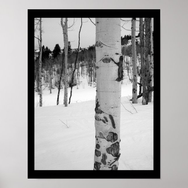 Poster Colorado Hiver Aspen (Devant)
