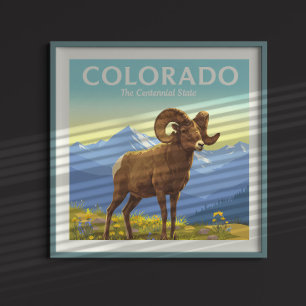 Poster Colorado vintage