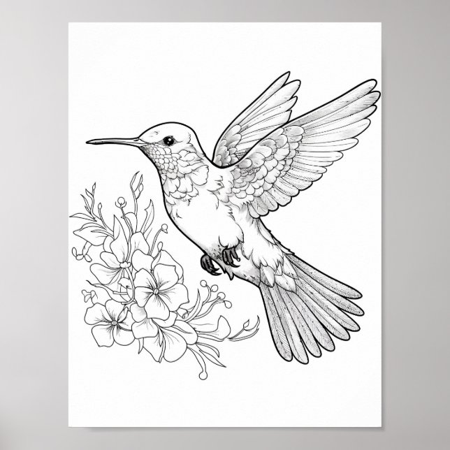 Poster Coloration adulte de colibri (Devant)