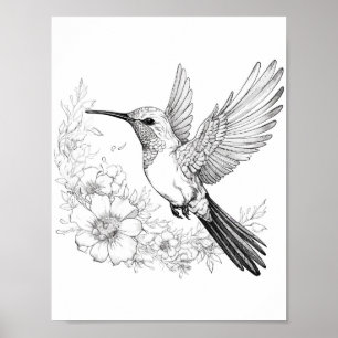 Poster Coloration adulte de colibri
