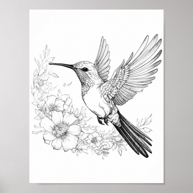 Poster Coloration adulte de colibri (Devant)