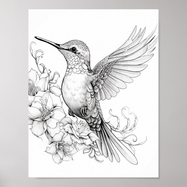 Poster Coloration adulte de colibri (Devant)