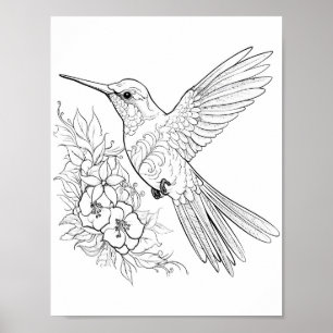 Poster Coloration adulte de colibri