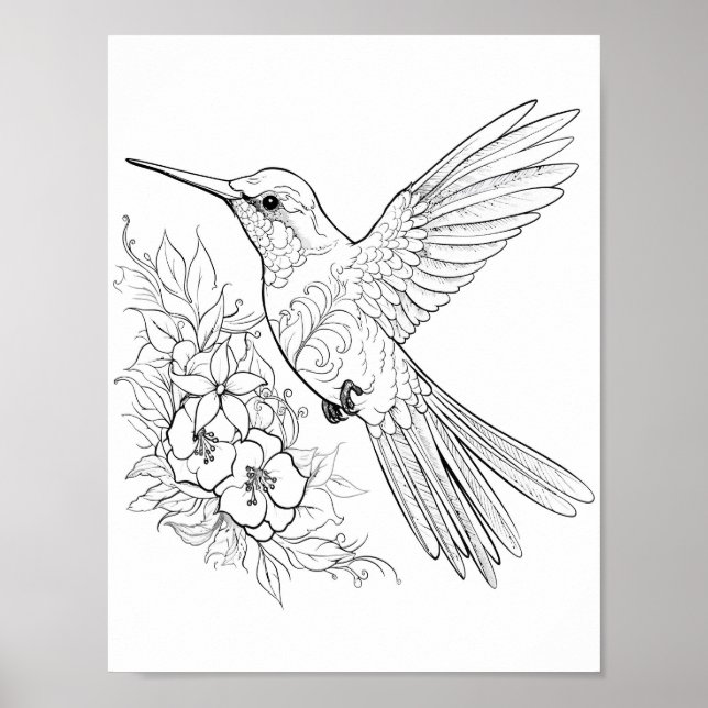 Poster Coloration adulte de colibri (Devant)