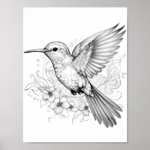 Poster Coloration adulte de colibri