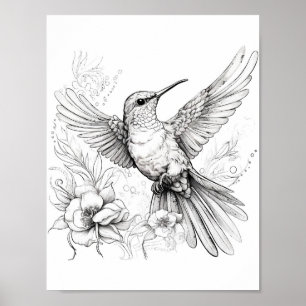 Poster Coloration adulte de colibri