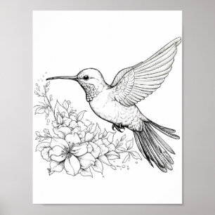 Poster Coloration adulte de colibri