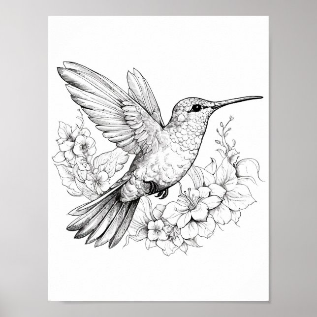 Poster Coloration adulte de colibri (Devant)