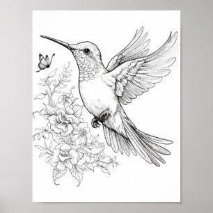 Poster Coloration adulte de colibri