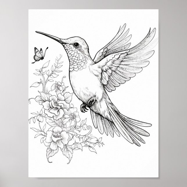 Poster Coloration adulte de colibri (Devant)