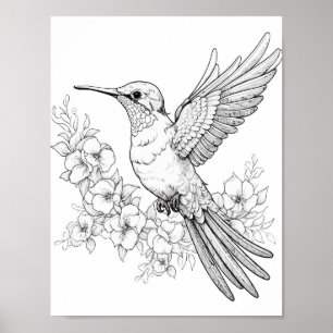 Poster Coloration adulte de colibri