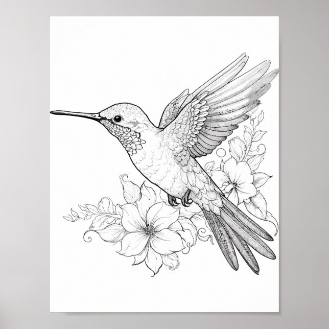 Poster Coloration adulte de colibri (Devant)
