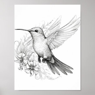 Poster Coloration adulte de colibri