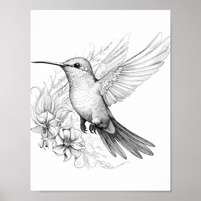 Poster Coloration adulte de colibri (Devant)