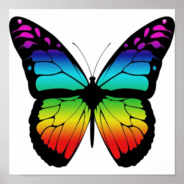 Poster coloré de papillon (Devant)