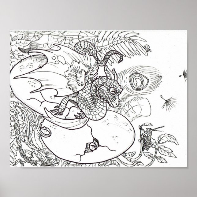 Poster Colorez vos propres dragons à cliquet (Devant)