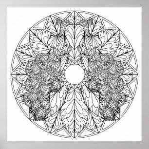 Poster Colorez Vos Propres Peacocks Mandala Coloriage Pos