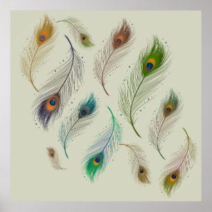 Poster Colorful Réaliste Peacock Bird Feathers