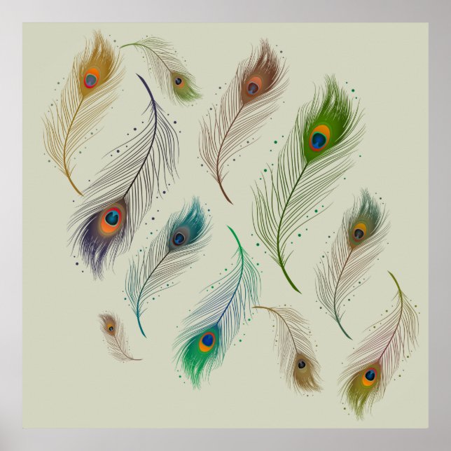 Poster Colorful Réaliste Peacock Bird Feathers (Devant)