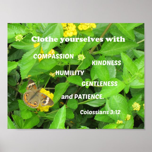Poster Colossiens 3:12 Vêtez-vous avec compassion (Devant)