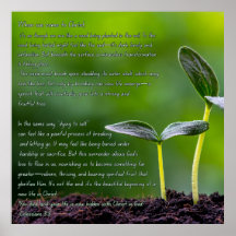 Colossiens 3:3 graphique avec ressort jardin