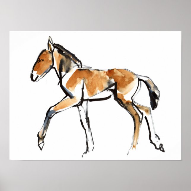 Poster Colt (Devant)