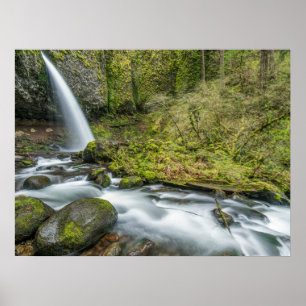 Poster Columbia River Gorge, Ponytail Falls