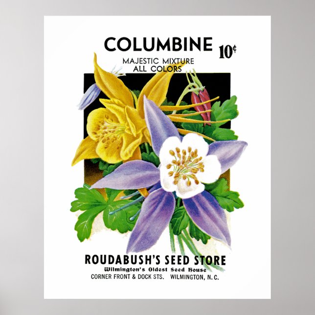 Poster Columbine (Devant)