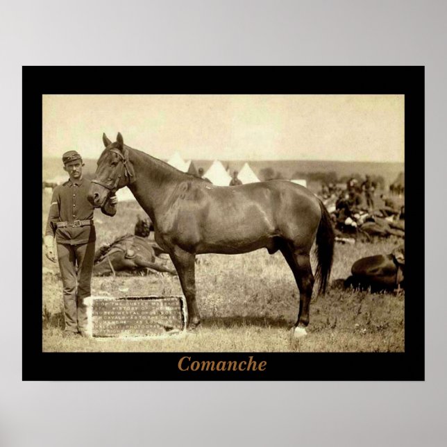 Poster Comanche (Devant)