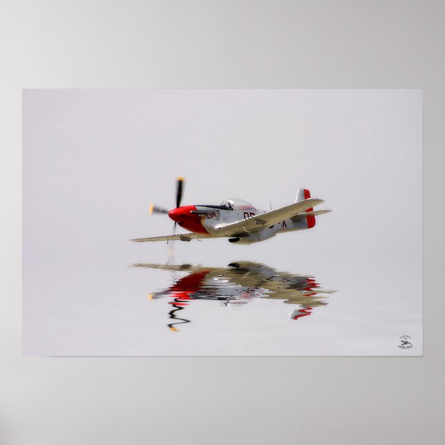 Poster Combat (Devant)