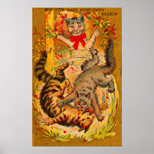 Poster combat de chat
