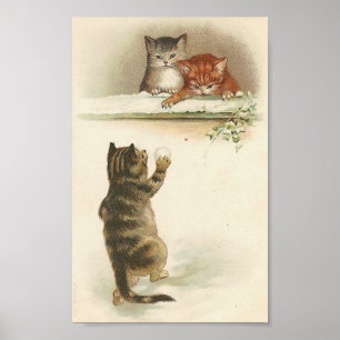 Poster Combat de Kitty Snowball
