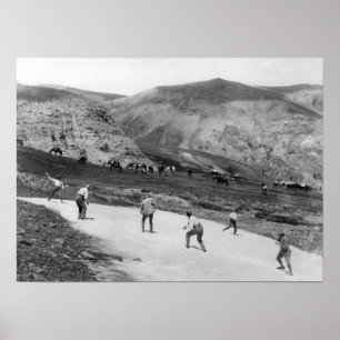 Poster Combat de snowball - US Geological Survey Field Pa