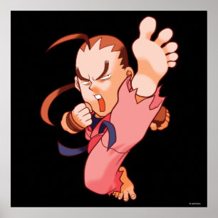 Poster Combattant Dan 2 de poche