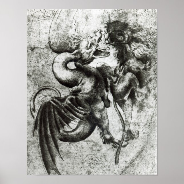 Poster Combattre entre un Dragon et un Lion (Devant)