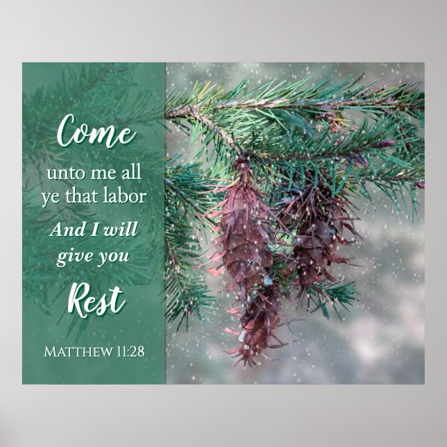 Poster Come Unto Me Scripture Pine Tree (Devant)