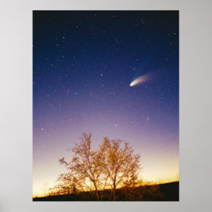 Poster Comet Hale Bopp