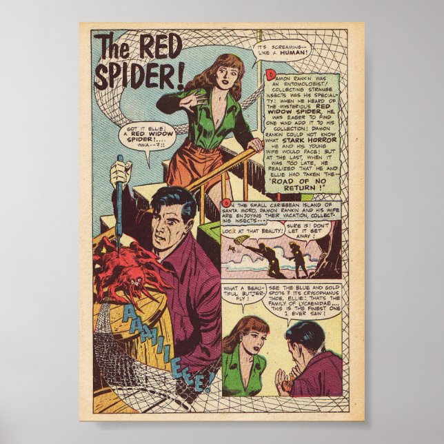 Poster Comique vintage (Devant)
