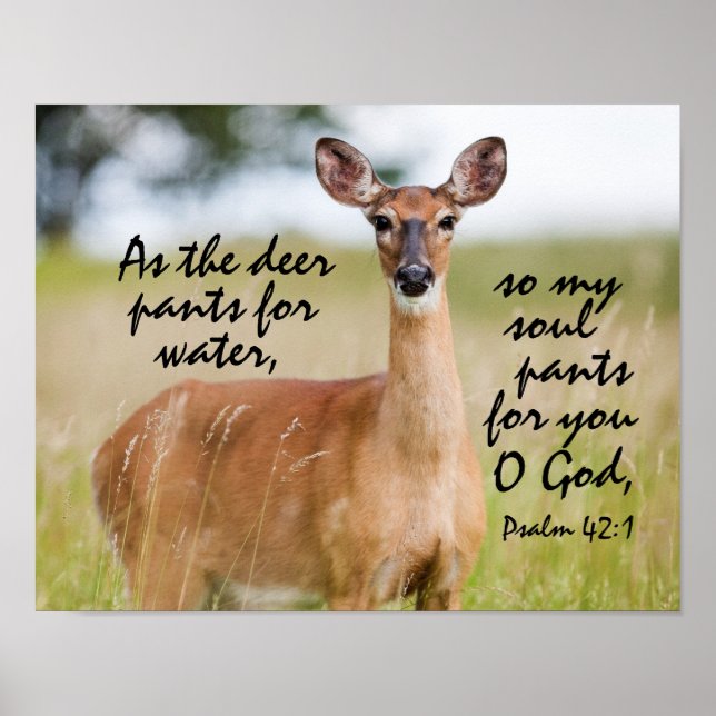 Poster Comme le pantalon de cerf pour l'eau Bible Verse P (Devant)