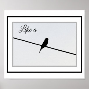 Poster Comme un oiseau sur un fil