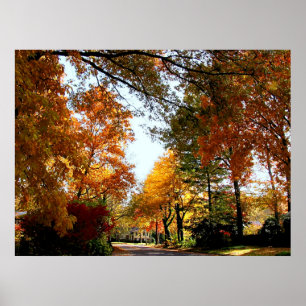 Poster COMMENCER AU-DESSOUS DE $20 - rue de village en