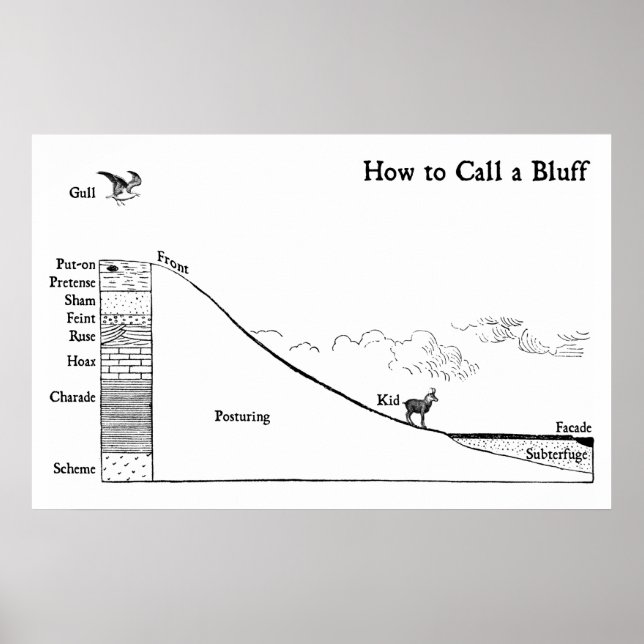 Poster Comment appeler un Bluff (Devant)