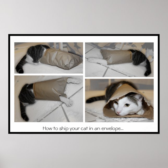 Poster Comment expédier votre chat dans une enveloppe...i (Devant)