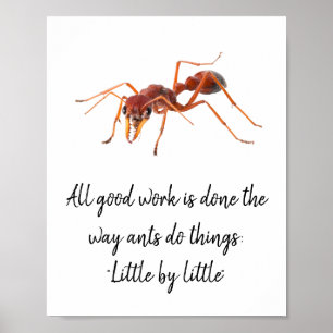 Poster Comment fonctionnent les fourmis