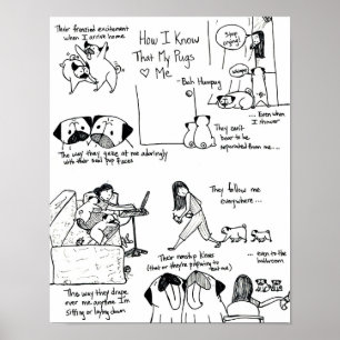 Poster Comment Je Sais Que Mes Carlins M'Aiment