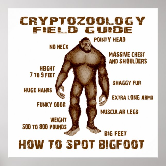 Poster COMMENT POSER BIGFOOT - Guide pratique de la crypt (Devant)
